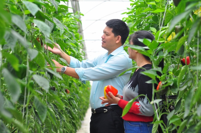 Hanoi seeks to transform urban agriculture